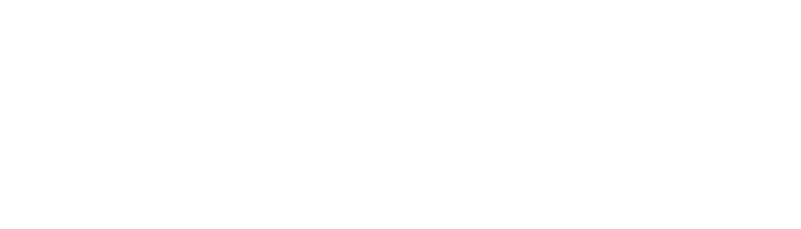 Davlat siyosati va boshqaruvi akademiyasi